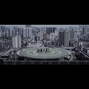 老外男人与雌性宠物交视频
