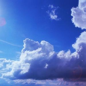 老外男人与雌性宠物交视频
