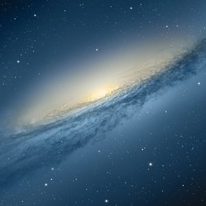 老外男人与雌性宠物交视频
