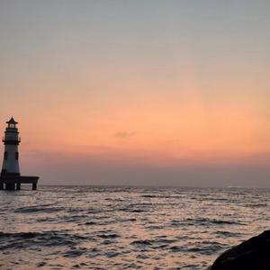 老外男人与雌性宠物交视频
